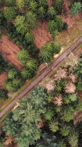 Preview wallpaper road, trees, nature, aerial view