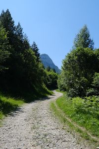 Preview wallpaper road, trees, nature, mountain