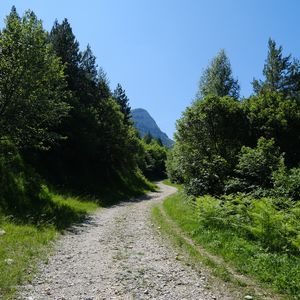 Preview wallpaper road, trees, nature, mountain