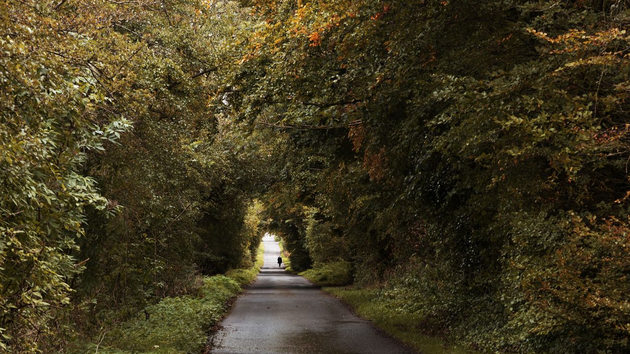 Wallpaper road, trees, people, silhouette, alley