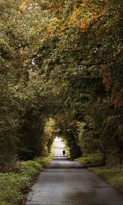 Preview wallpaper road, trees, people, silhouette, alley