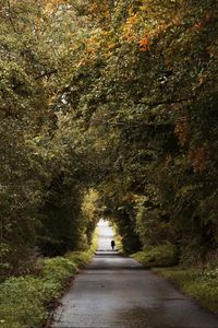 Preview wallpaper road, trees, people, silhouette, alley