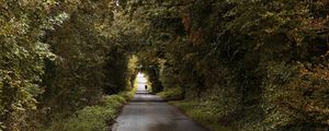 Preview wallpaper road, trees, people, silhouette, alley