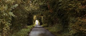 Preview wallpaper road, trees, people, silhouette, alley