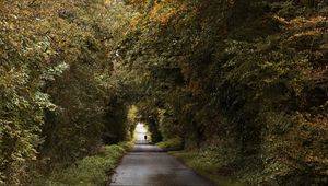 Preview wallpaper road, trees, people, silhouette, alley