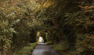 Preview wallpaper road, trees, people, silhouette, alley