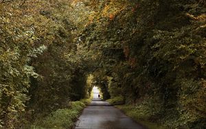 Preview wallpaper road, trees, people, silhouette, alley