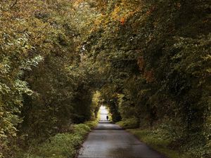 Preview wallpaper road, trees, people, silhouette, alley