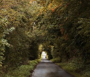 Preview wallpaper road, trees, people, silhouette, alley