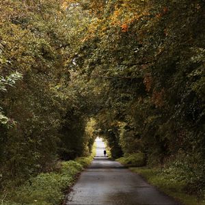 Preview wallpaper road, trees, people, silhouette, alley