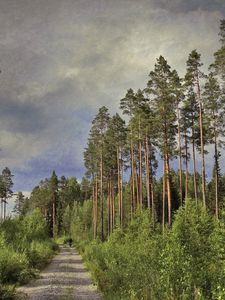 Preview wallpaper road, trees, pines, high, trunks, clouds, person, silhouette, cyclist