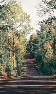 Preview wallpaper road, trees, shadow