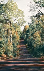 Preview wallpaper road, trees, shadow