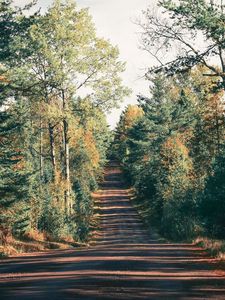 Preview wallpaper road, trees, shadow