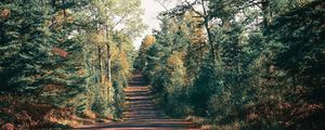 Preview wallpaper road, trees, shadow