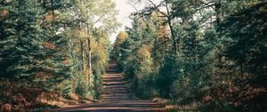 Preview wallpaper road, trees, shadow