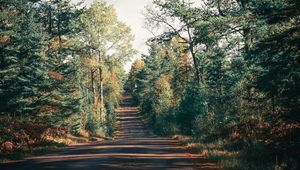 Preview wallpaper road, trees, shadow