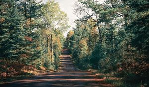 Preview wallpaper road, trees, shadow