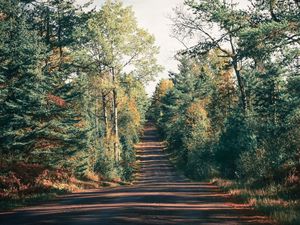 Preview wallpaper road, trees, shadow