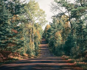 Preview wallpaper road, trees, shadow