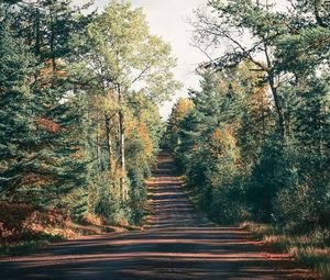 Preview wallpaper road, trees, shadow