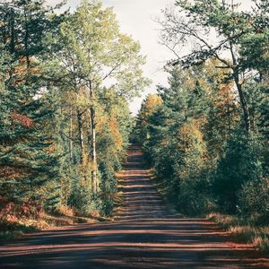 Preview wallpaper road, trees, shadow