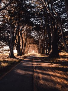 Road old mobile, cell phone, smartphone wallpapers hd, desktop backgrounds  240x320 downloads, images and pictures