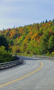 Preview wallpaper road, trees, shadows, turn