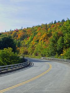 Preview wallpaper road, trees, shadows, turn