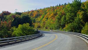 Preview wallpaper road, trees, shadows, turn