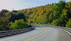 Preview wallpaper road, trees, shadows, turn