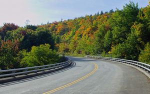 Preview wallpaper road, trees, shadows, turn