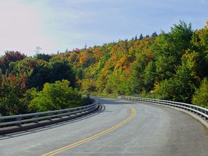 Preview wallpaper road, trees, shadows, turn