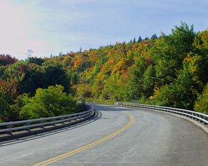 Preview wallpaper road, trees, shadows, turn