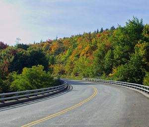 Preview wallpaper road, trees, shadows, turn