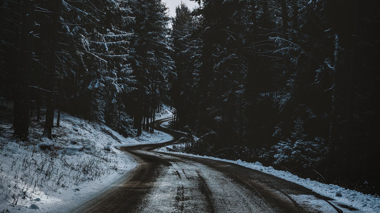 Wallpaper road, trees, snow, winter, winding