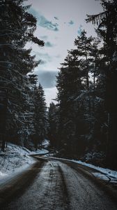 Preview wallpaper road, trees, snow, winter, winding