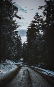 Preview wallpaper road, trees, snow, winter, winding