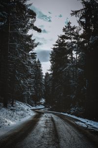 Preview wallpaper road, trees, snow, winter, winding