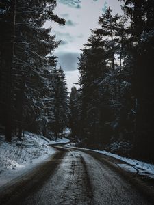 Preview wallpaper road, trees, snow, winter, winding