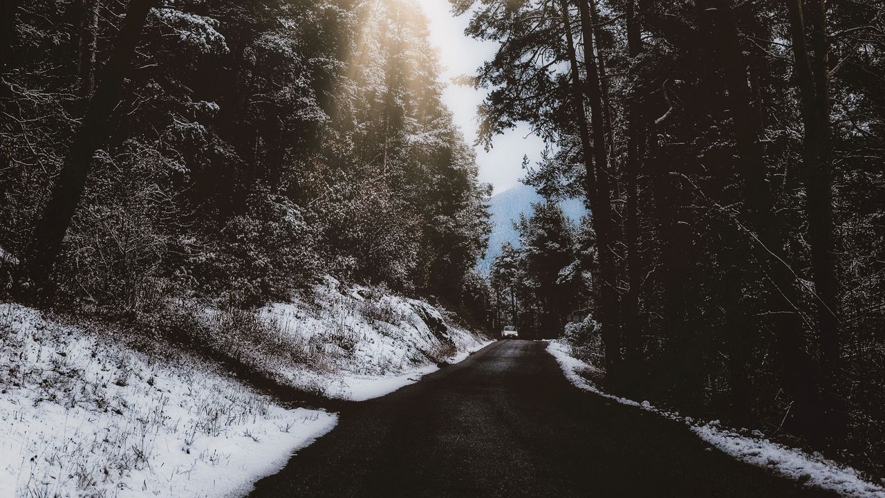 Wallpaper road, trees, snow, winter, branches