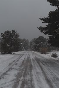 Preview wallpaper road, trees, snow, snowy, winter