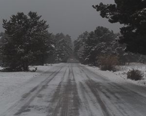 Preview wallpaper road, trees, snow, snowy, winter