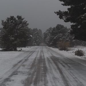 Preview wallpaper road, trees, snow, snowy, winter