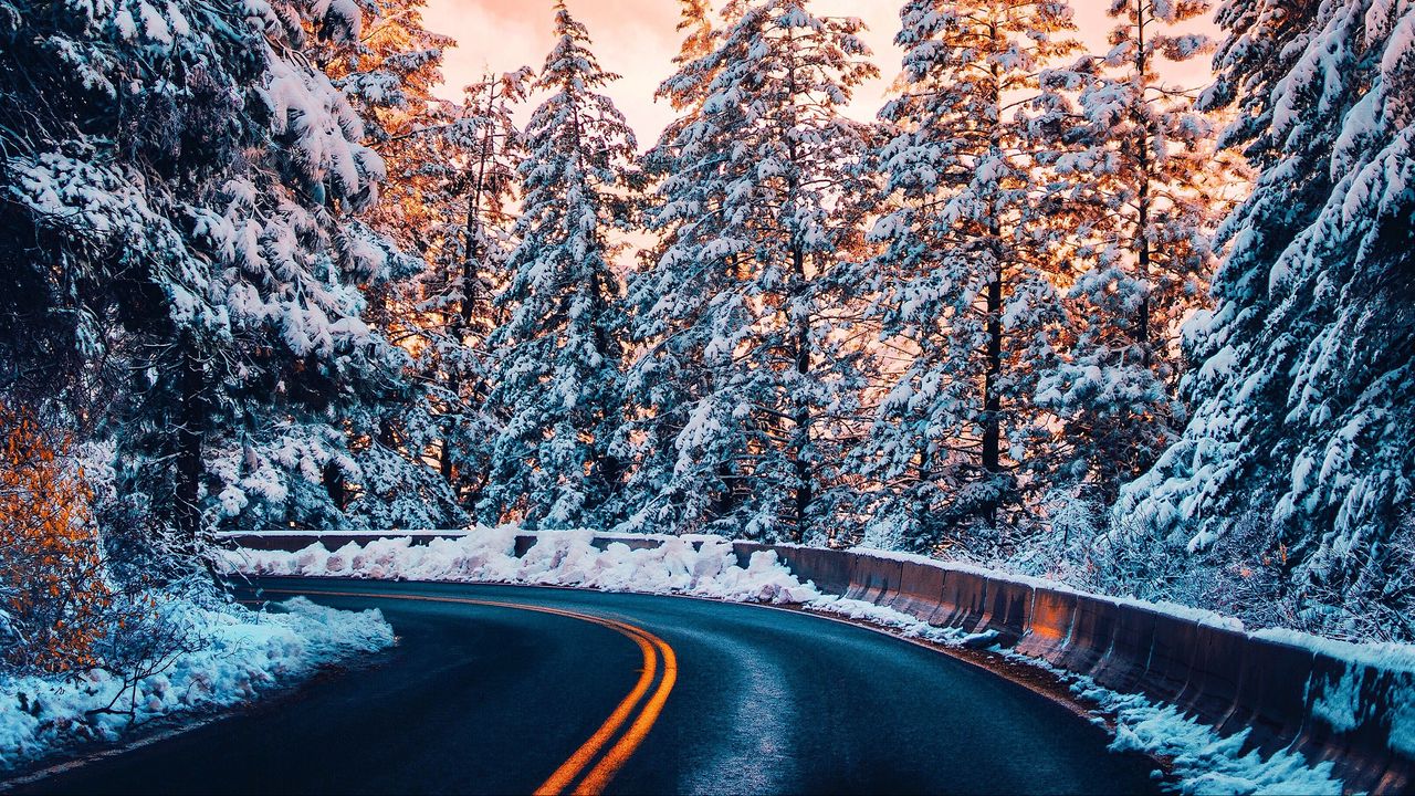 Wallpaper road, trees, snow, sunset, turn