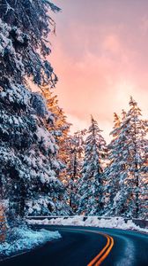 Preview wallpaper road, trees, snow, sunset, turn