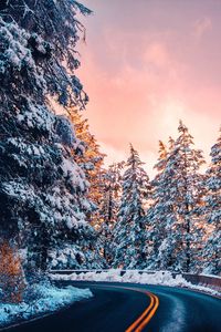 Preview wallpaper road, trees, snow, sunset, turn