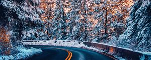Preview wallpaper road, trees, snow, sunset, turn