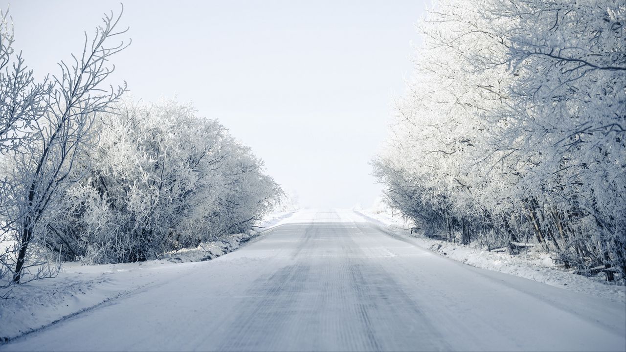 Wallpaper road, trees, snow, winter, snowy