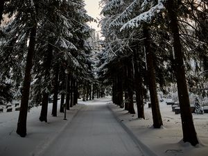 Preview wallpaper road, trees, snow, winter